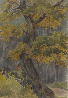 Study of a deciduous tree. Motif from St. George, 1881. Creator: Friedrich Carl von Scheidlin