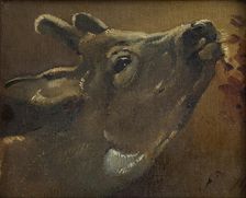 Study of a deer, 1874. Creator: Jorgen Pedersen Roed