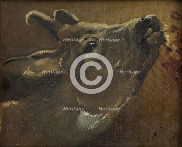 Study of a deer, 1874. Creator: Jorgen Pedersen Roed.