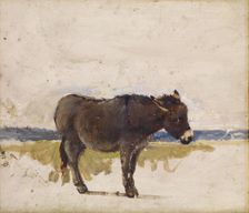 Study of a Donkey, 1841-1843. Creator: David Cox the elder