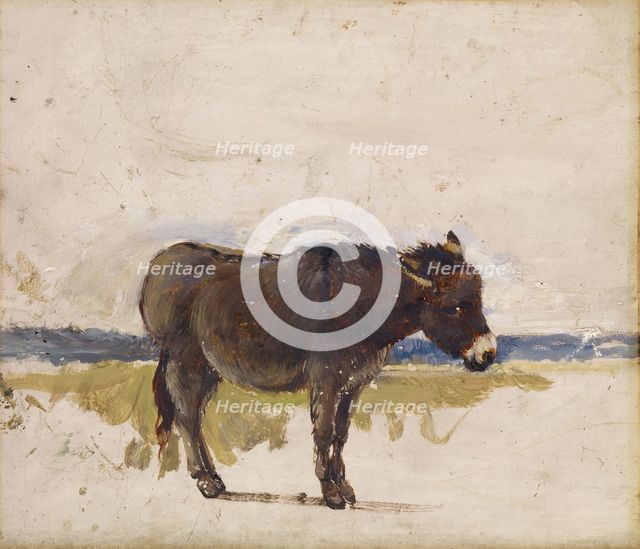 Study of a Donkey, 1841-1843. Creator: David Cox the elder.
