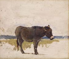Study of a Donkey, 1841-1843. Creator: David Cox the Elder