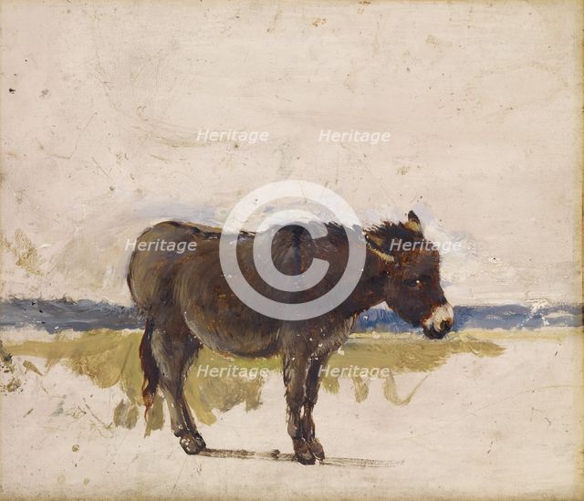 Study of a Donkey, 1841-1843. Creator: David Cox the Elder.