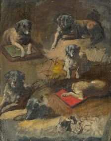 Study of a Dog, 1860-1900. Creator: Jan Nowopacký