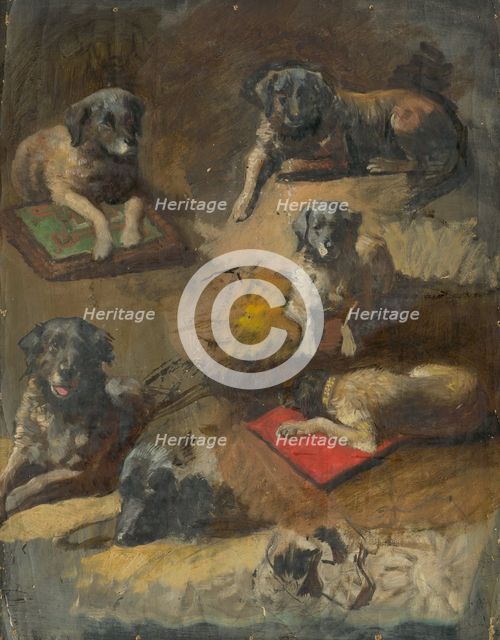 Study of a Dog, 1860-1900. Creator: Jan Nowopacký.