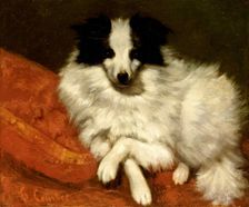 Study of a dog, 1861-1862. Creator: Courbet, Gustave (1819-1877)