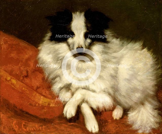 Study of a dog, 1861-1862. Creator: Courbet, Gustave (1819-1877).