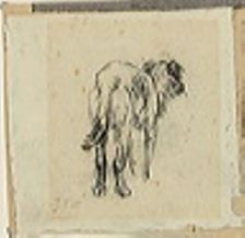 Study of a Dog, n.d. Creator: Jean Francois Millet