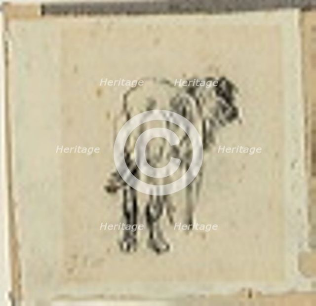 Study of a Dog, n.d. Creator: Jean Francois Millet.