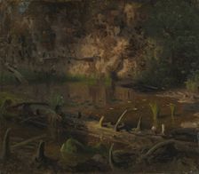 Study of a fallen Tree, probably 1851. Creator: Herman August Cappelen