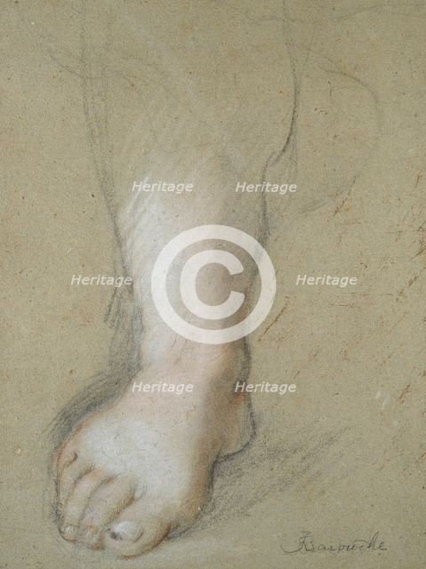Study of a Foot, late 16th century. Artist: Federico Barocci.