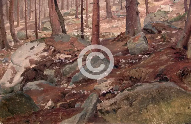 Study of a Forest Floor, 1847. Creator: J. F. Eckersberg.