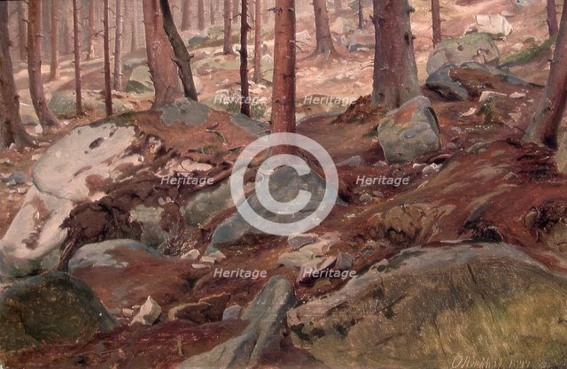 Study of a Forest Floor, 1847. Creator: J. F. Eckersberg.