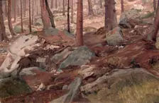Study of a Forest Floor, 1847. Creator: J. F. Eckersberg