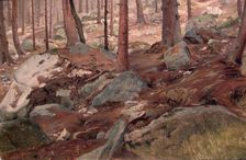 Study of a Forest Floor, 1847. Creator: J. F. Eckersberg