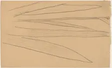 Study of a Flower [verso], 1890/1897. Creator: Charles Sprague Pearce