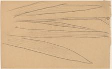 Study of a Flower [verso], 1890/1897. Creator: Charles Sprague Pearce