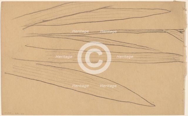 Study of a Flower [verso], 1890/1897. Creator: Charles Sprague Pearce.