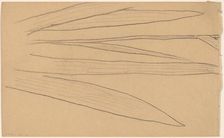 Study of a Flower [verso], 1890/1897. Creator: Charles Sprague Pearce