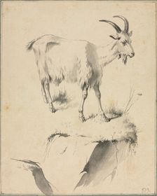 Study of a Goat, 1700s. Creator: Jean Jacques de Boissieu (French, 1736-1810)