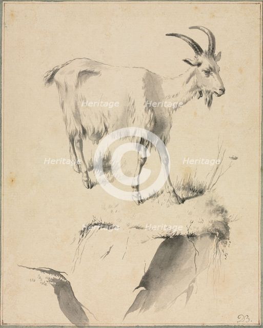 Study of a Goat, 1700s. Creator: Jean Jacques de Boissieu (French, 1736-1810).
