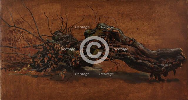 Study of a gnarled Branch, c1810-1850. Creator: Johan Christian Dahl.