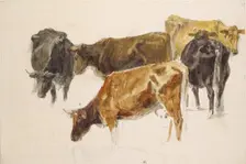 Study of a Group of Cows, c1801. Artist: JMW Turner