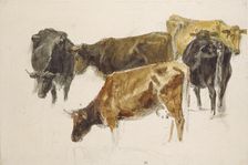 Study of a Group of Cows, c1801. Artist: JMW Turner