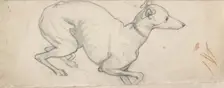 Study of a Greyhound, mid 19th century. Artist: Ford Madox Brown