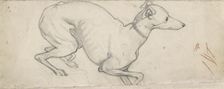 Study of a Greyhound, mid 19th century. Artist: Ford Madox Brown