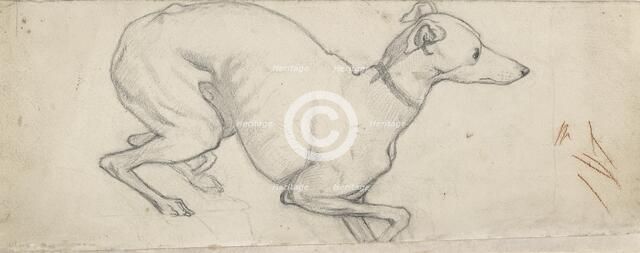 Study of a Greyhound, mid 19th century. Artist: Ford Madox Brown.