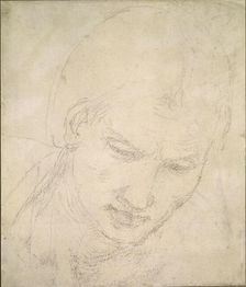 Study of a Head, c1490-1560. Artist: Michelangelo Buonarroti