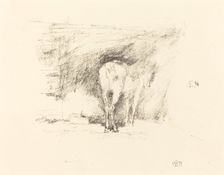 Study of a Horse, 1895. Creator: James Abbott McNeill Whistler