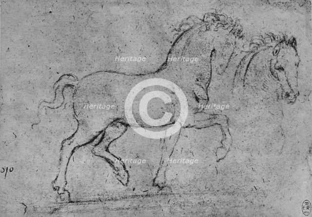 'Study of a Horse and of a Horse's Head', c1480 (1945). Artist: Leonardo da Vinci.