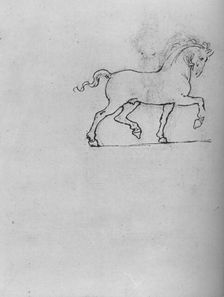 Study of a Horse c1480 (1945). Artist: Leonardo da Vinci
