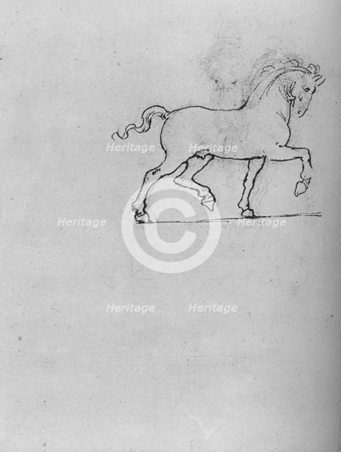 'Study of a Horse', c1480 (1945). Artist: Leonardo da Vinci.