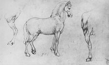 Study of a Horse, its Near Hind-Leg and its Hind-Quarters c1480 (1945). Artist: Leonardo da Vinci