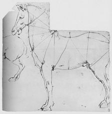 Study of a Horse Marked Out for Measurement c1480 (1945). Artist: Leonardo da Vinci
