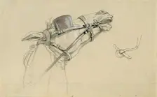 Study of a horse's head for "Return of Emperor Franz from Pressburg", before 1828. Creator: Johann Peter Krafft