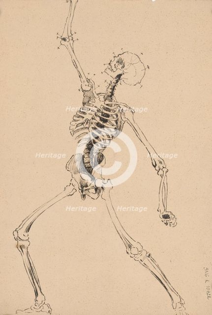 Study of a human skeleton, 1880-1904. Creator: Janos Fadrusz.
