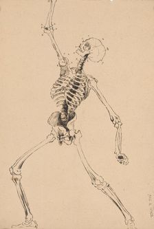 Study of a human skeleton, 1880-1904. Creator: Janos Fadrusz