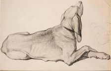 Study of a Labrador, c1840s. Creator: John Phillip