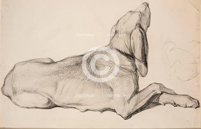 Study of a Labrador, c1840s. Creator: John Phillip.