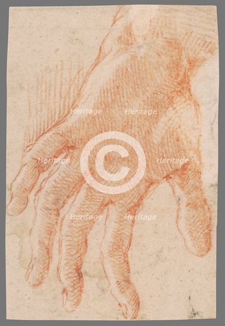 Study of a left hand, 1701/1800. Creator: Unknown.