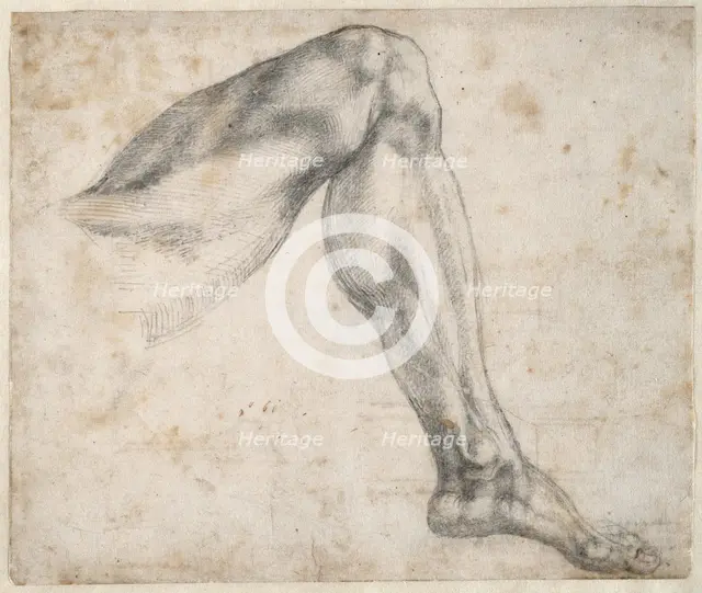Study of a leg, 1524. Creator: Buonarroti, Michelangelo (1475-1564).