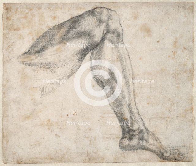 Study of a leg, 1524. Creator: Buonarroti, Michelangelo (1475-1564).