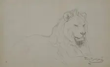 Study Of A Lion's Head, 1832-1899. Creator: Rosa Bonheur