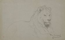 Study Of A Lion's Head, 1832-1899. Creator: Rosa Bonheur