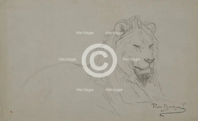 Study Of A Lion's Head, 1832-1899. Creator: Rosa Bonheur.