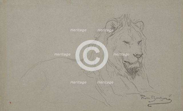 Study Of A Lion's Head, 1832-1899. Creator: Rosa Bonheur.